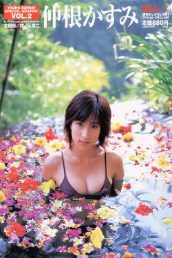 生蚝进扇贝视频